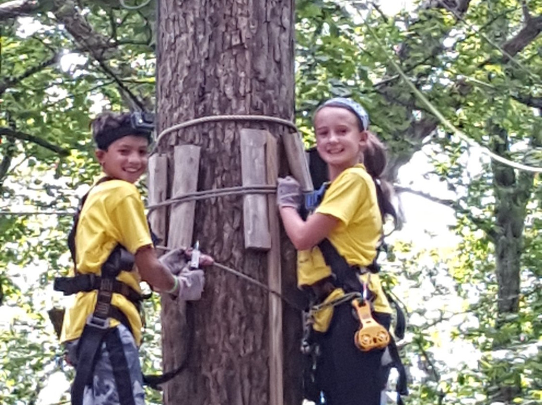 Tree Top Adventures-London必去景点