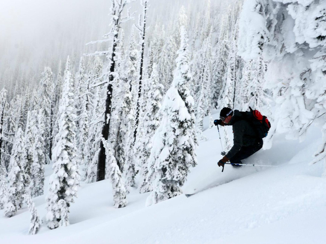 Selkirk Powder-桑德波因特必去景点