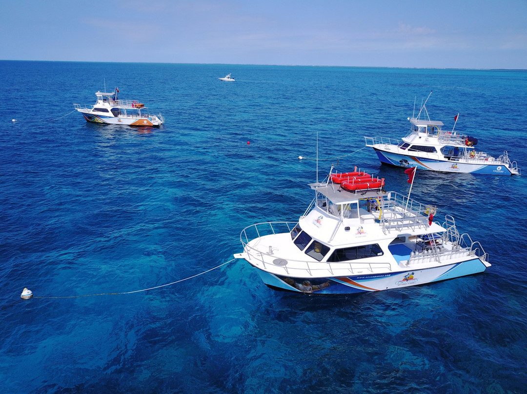 Ocean Divers景点图片