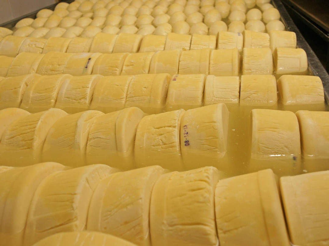 Vella Cheese Company景点图片