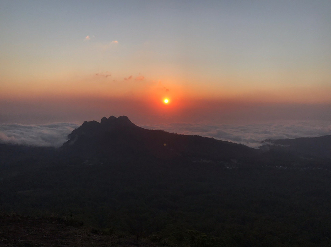 (Madja) Edelweis Homestay主图