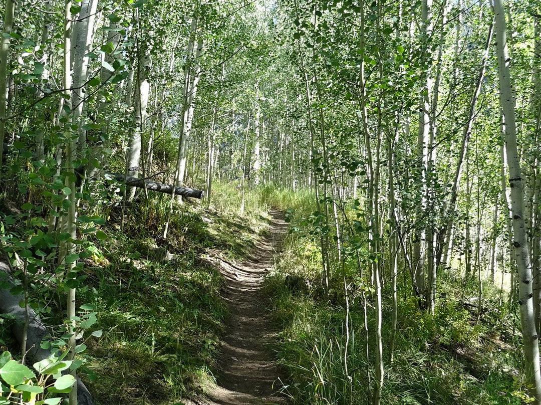 American Lake Trail-阿斯蓬必去景点