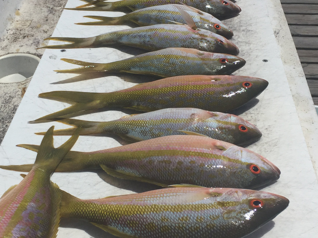 Sombrero Reef-马拉松必去景点