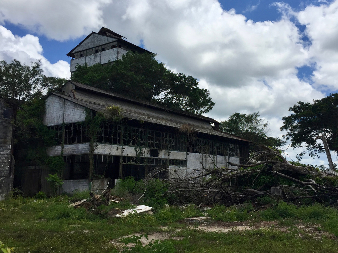 Marienburg suikerfabriek景点图片
