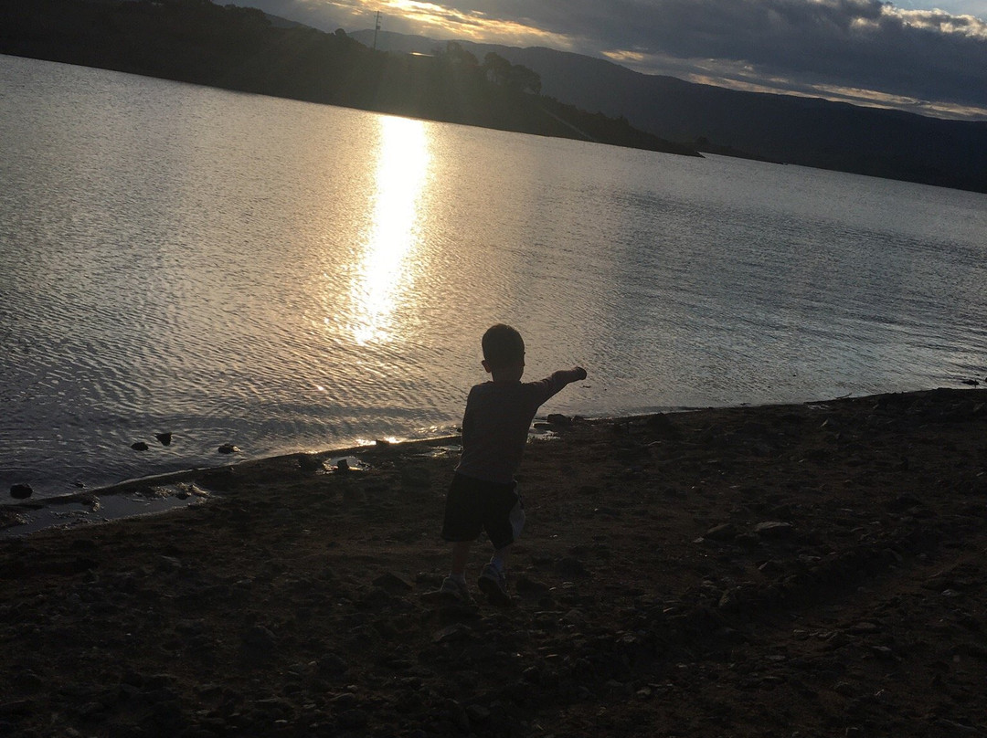 Siesta Villa Motel主图