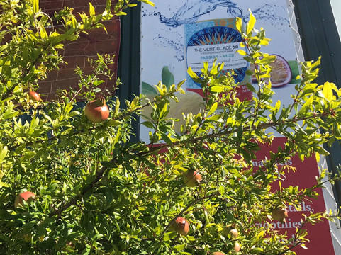 Terre D'Oc-Villeneuve必去景点