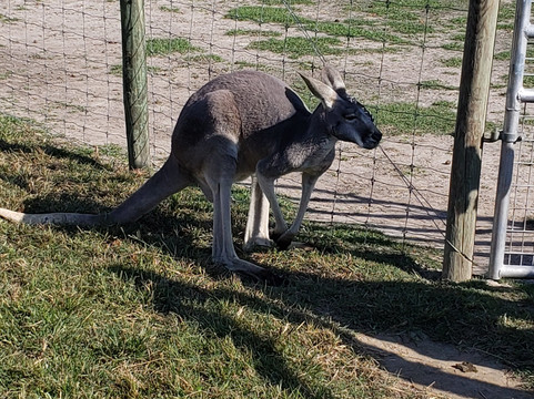 Macclesfield旅游攻略图片