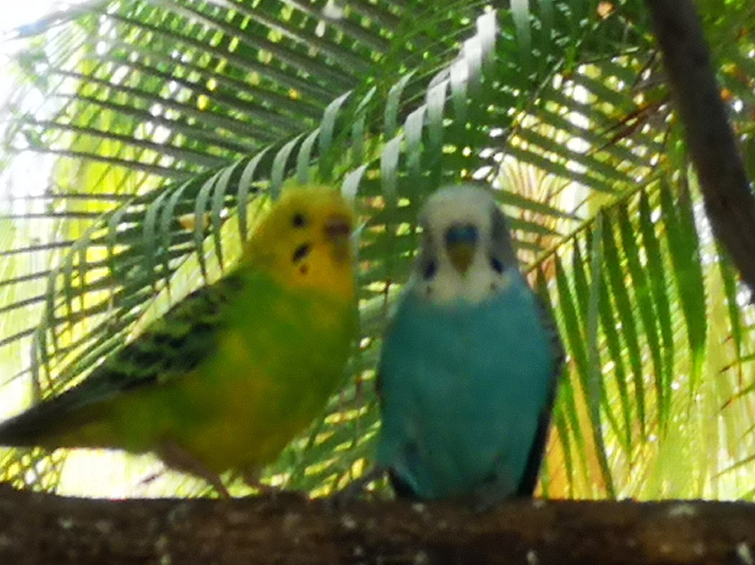 Villa Don Manuel主图