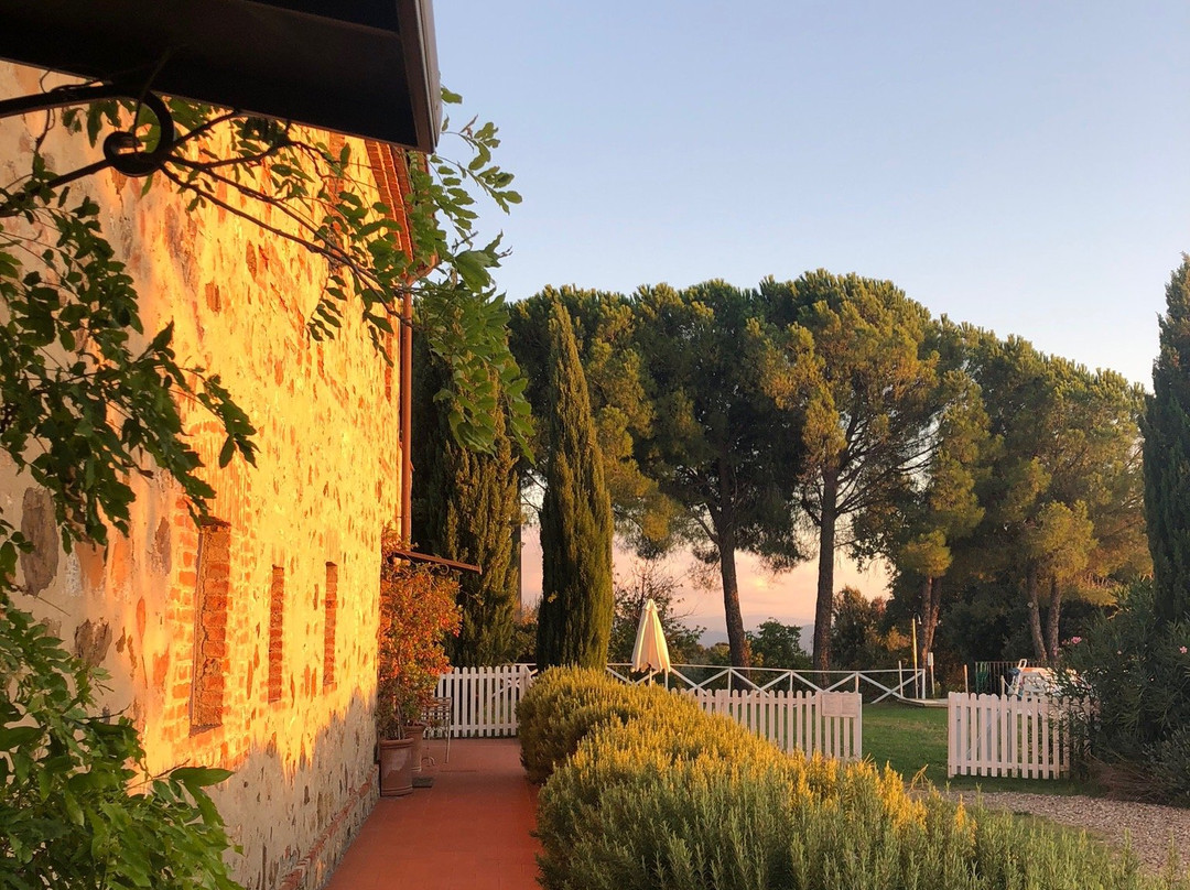 Tenuta L'Impostino-Civitella Paganico必去景点