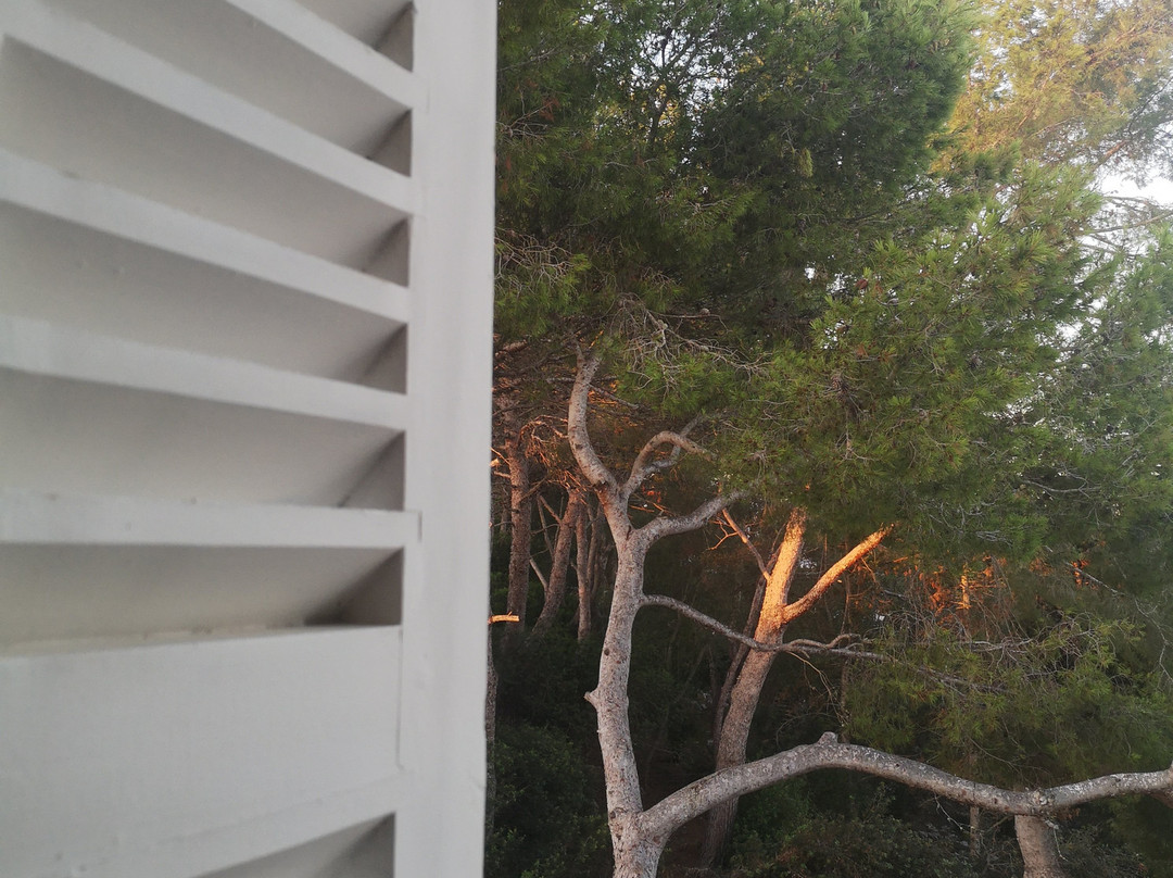 Hostal San Francisco主图