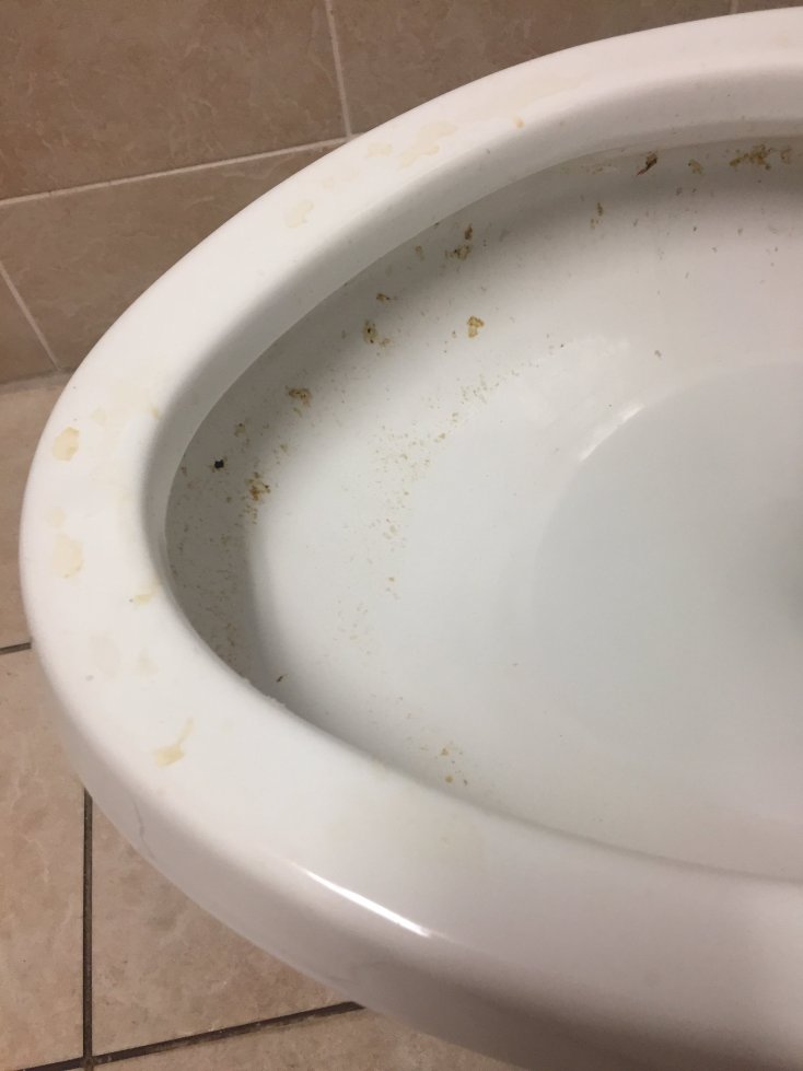 丽笙乡村套房酒店-爱荷华州滑铁卢-泳池