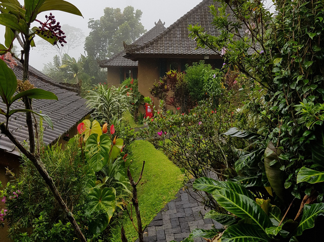 Strawberry Hill Hotel主图