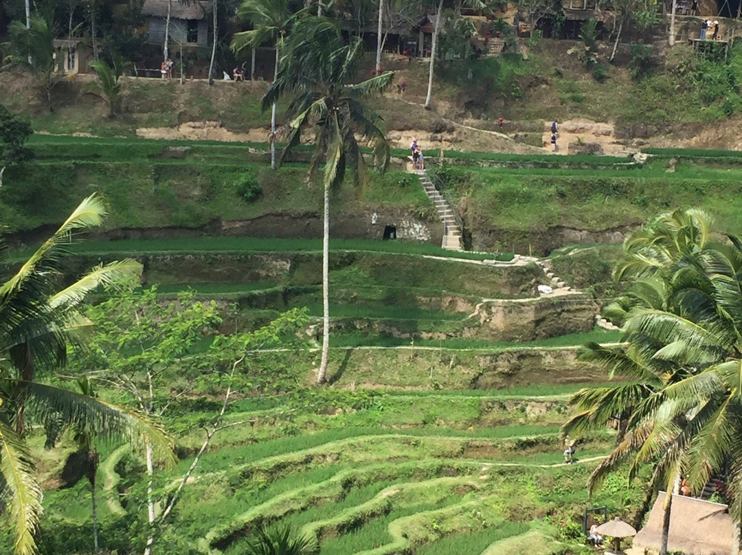 Bali Classic Tour - Private Day Tours-登巴萨必去景点