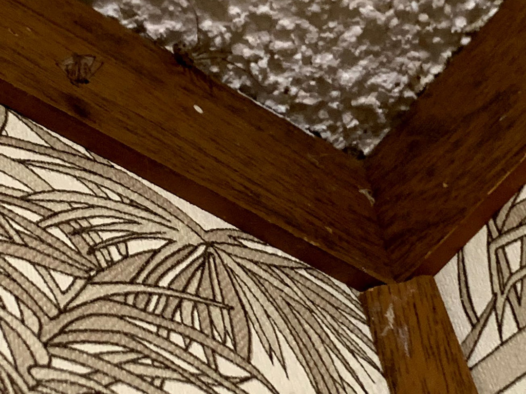 The Whispering Elms Motel主图