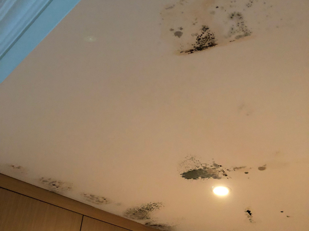 Luna Hotel Zombo主图