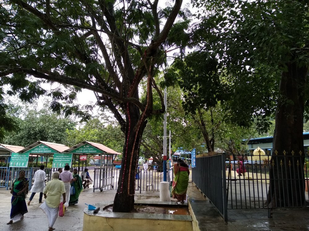 Sri Vekateswara Swamy Temple景点图片