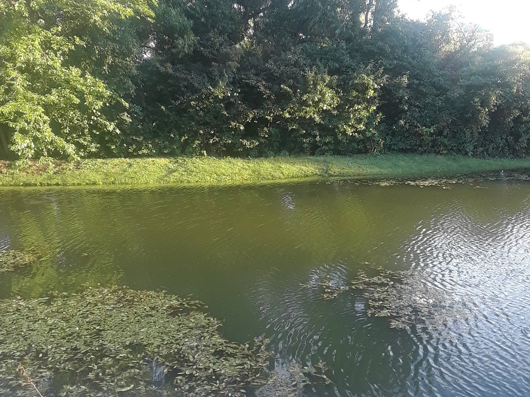 Extended Stay America Select Suites - Chicago - Downers Grove主图