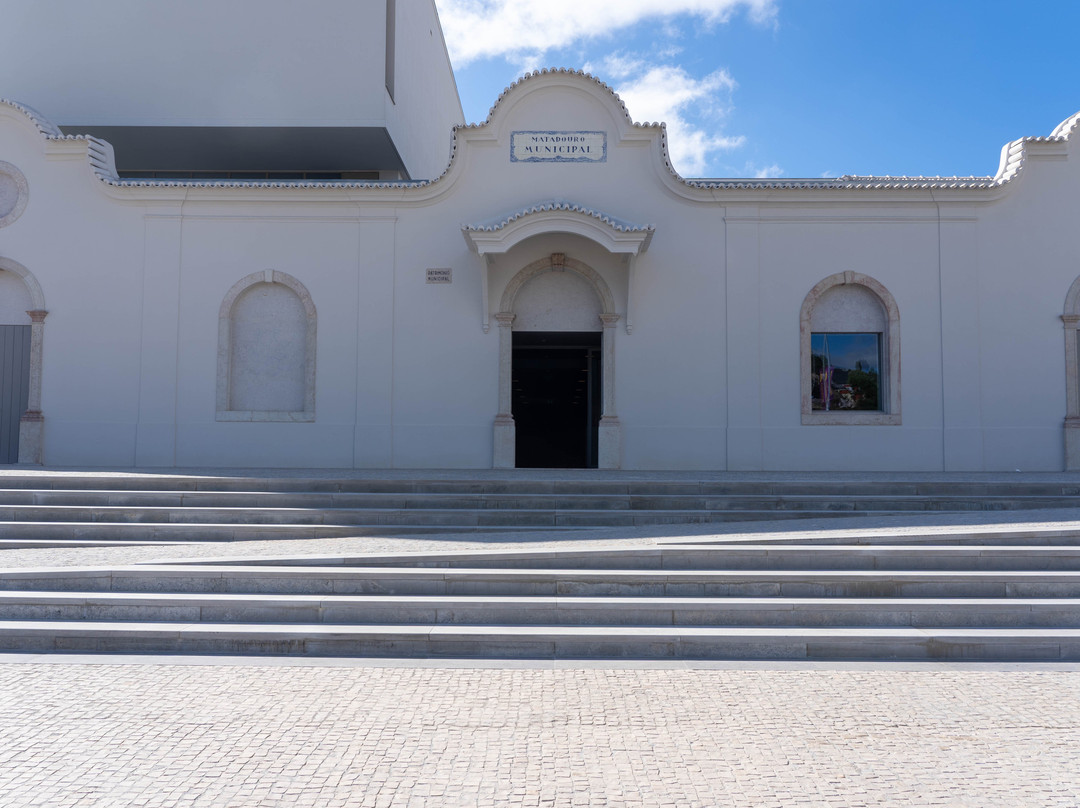 Centro de Artes e Criatividade de Torres Vedras景点图片