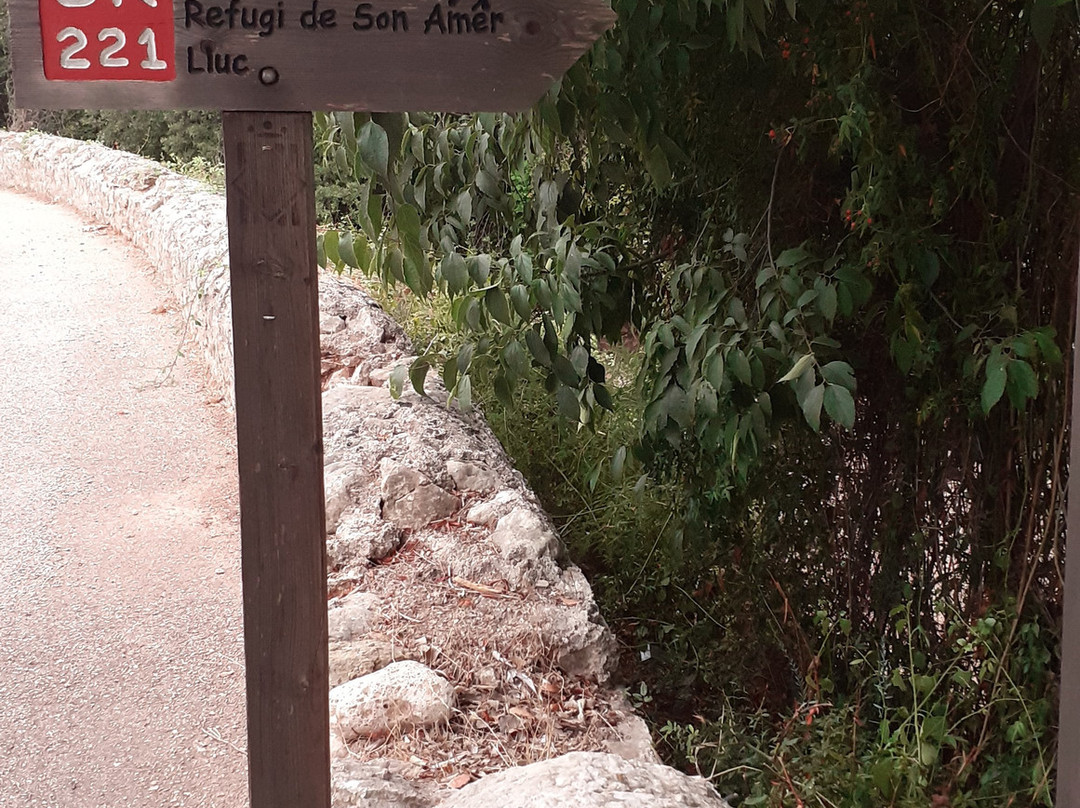 GR 221- Dry Stone Route-Es Capdella必去景点