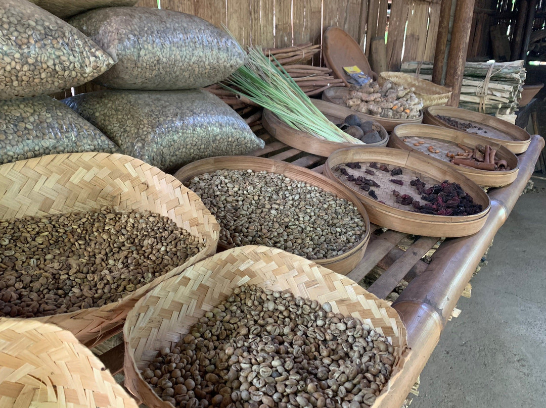 Alam Sari Agrotourism景点图片