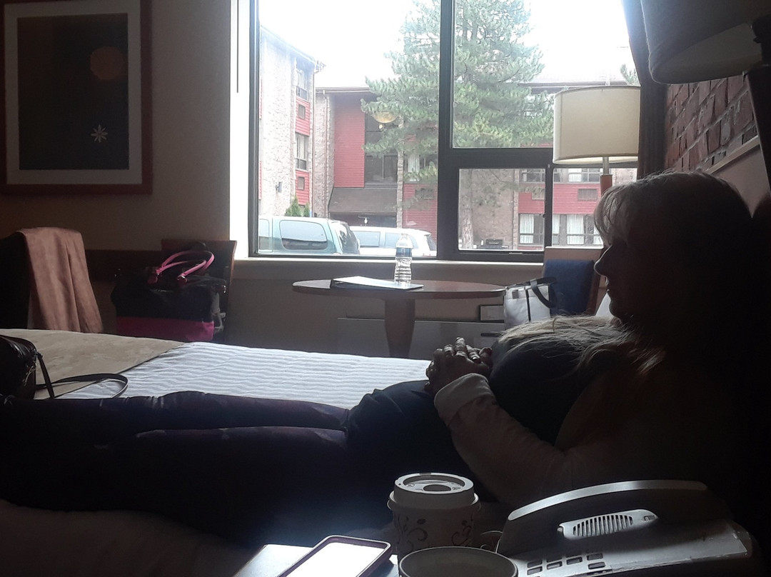 Ontario Travel Information Centre - Barrie-巴利必去景点