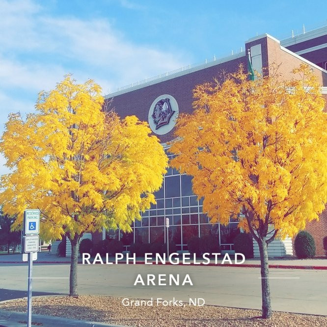 Ralph Engelstad Arena-大福克斯必去景点