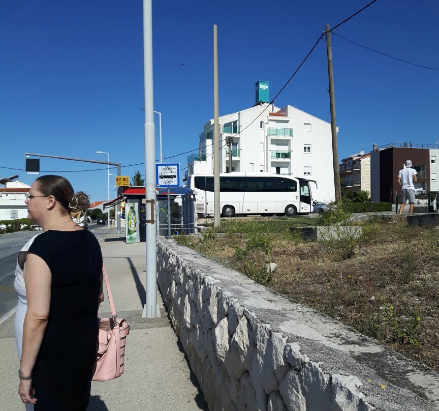 Ringo Apartments主图