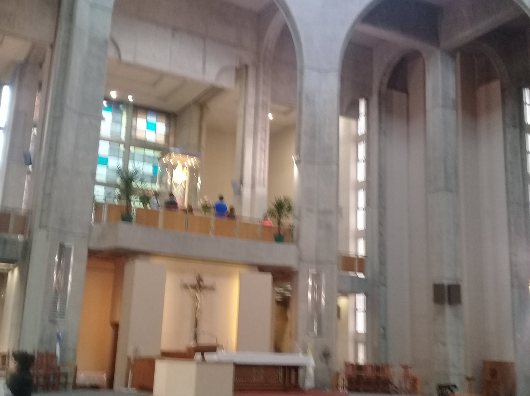 Santuario Basílica Catedral de Nuestra Señora del Rosario景点图片