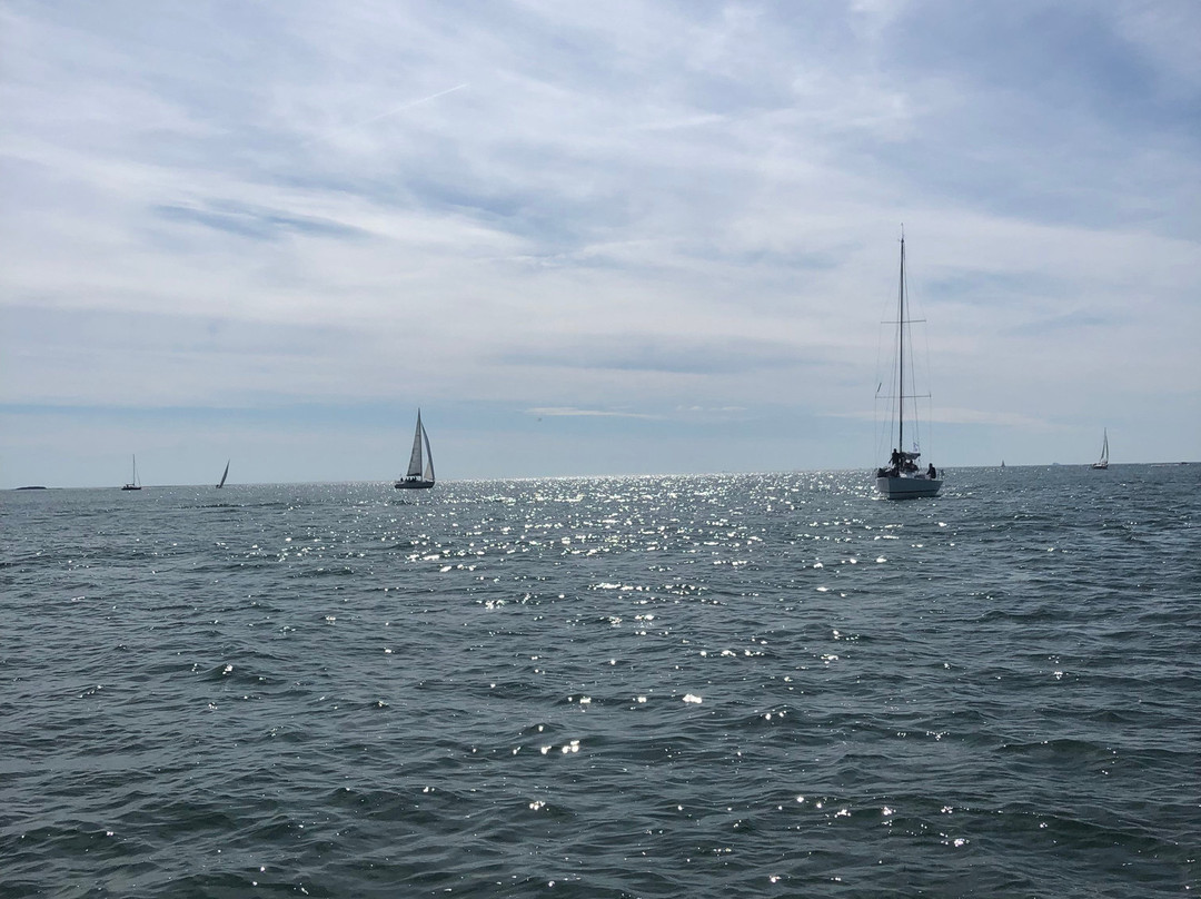 Iles et Rivages-La Trinite-sur-Mer必去景点