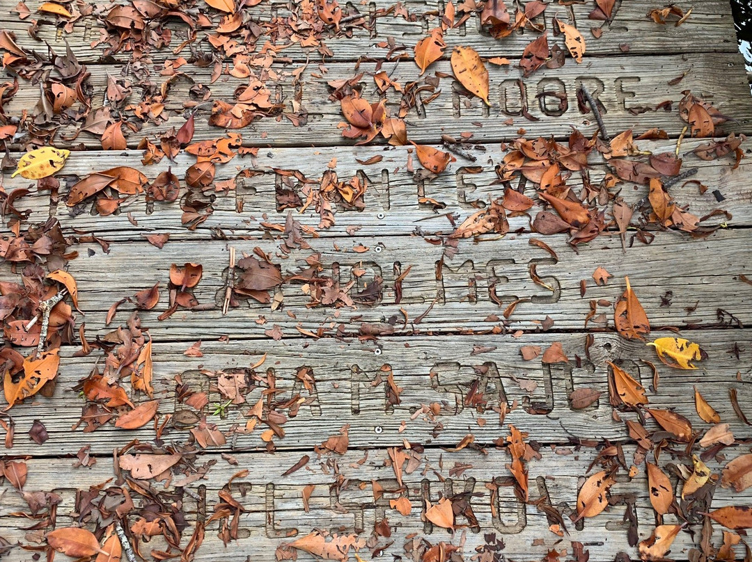 St. Jude Nature Trail-Saint James City必去景点