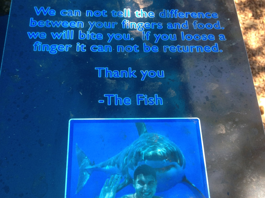 Aqua Broome-布鲁姆必去景点