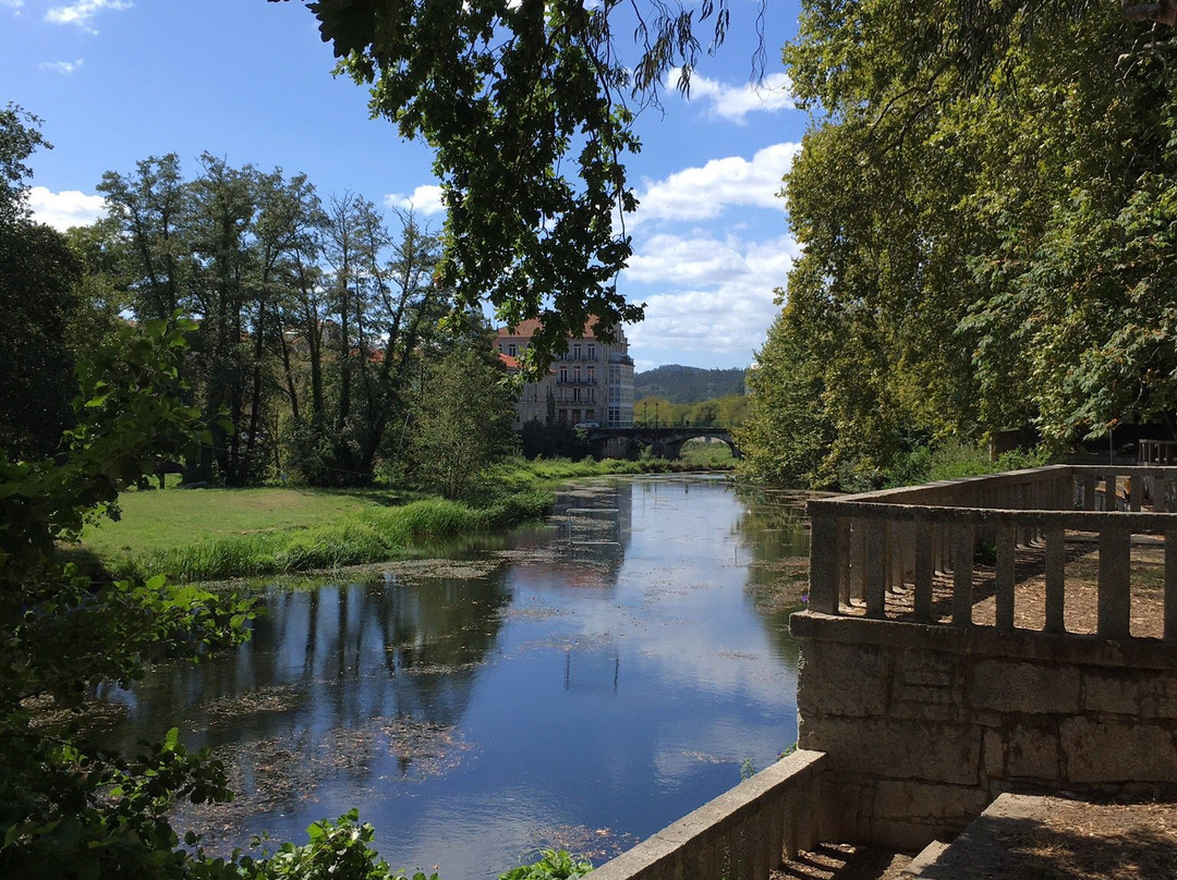 Carballeira de Caldas de Reis景点图片