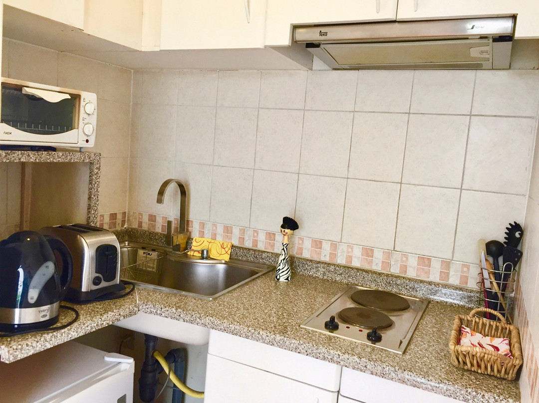 B & B Caballo Bayo主图