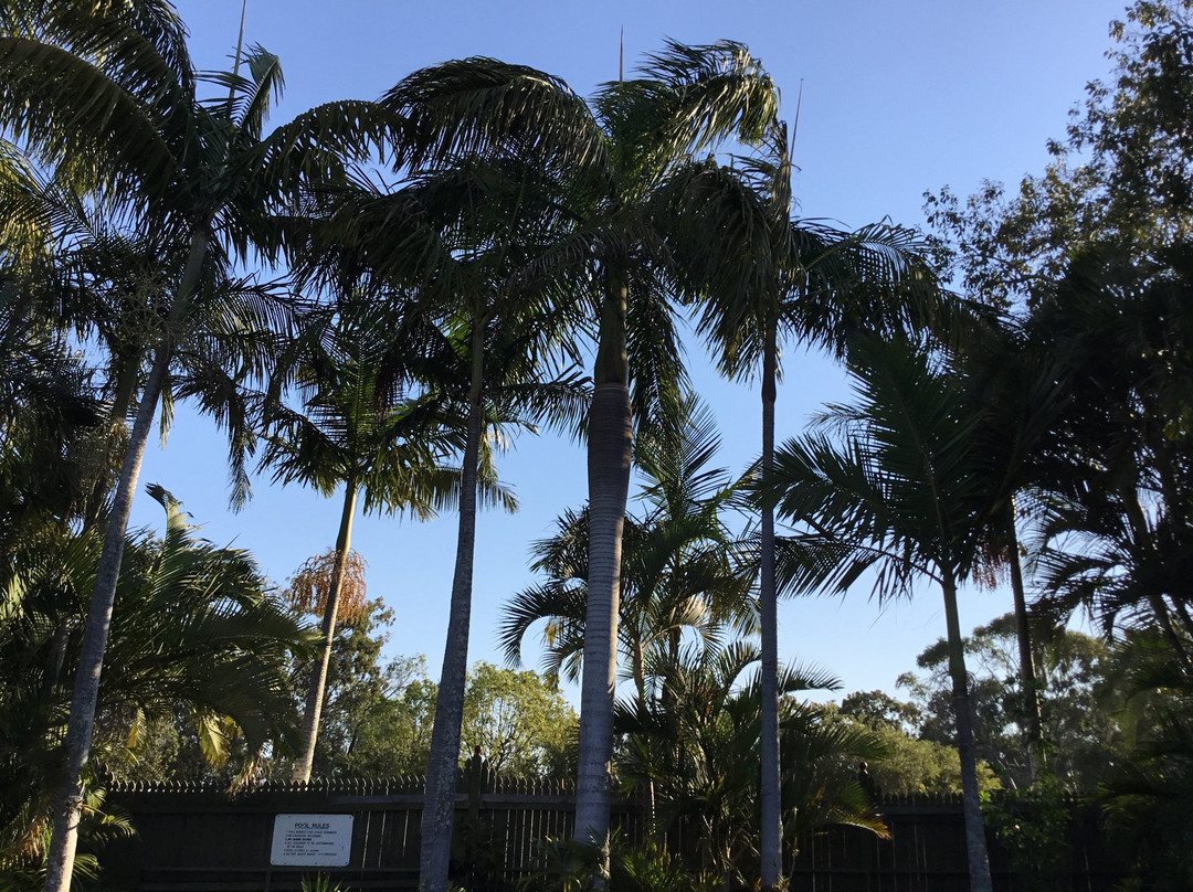 Cleveland Motor Inn主图