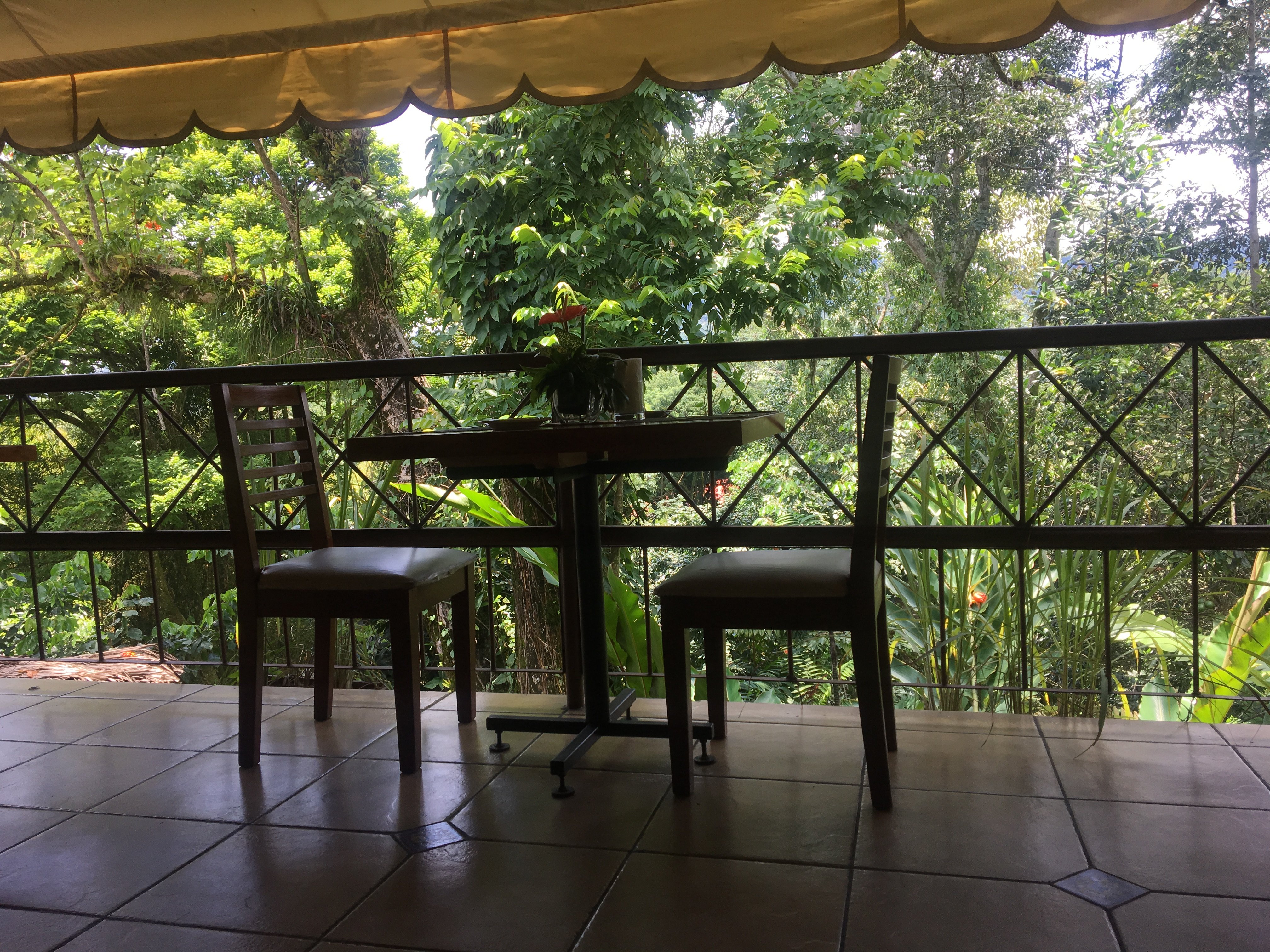 Argovia Ecolodge-餐饮