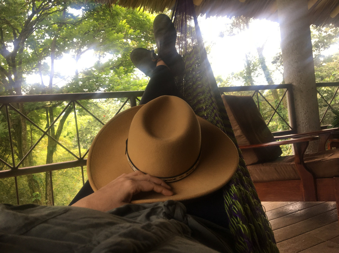 Argovia Ecolodge主图