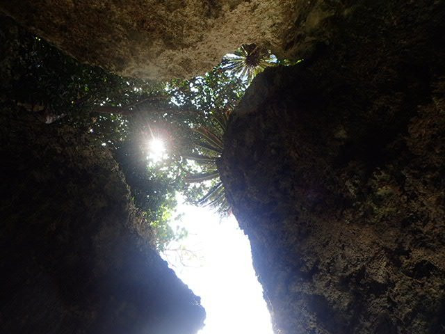 Ishigaki-jima Blue Cave景点图片