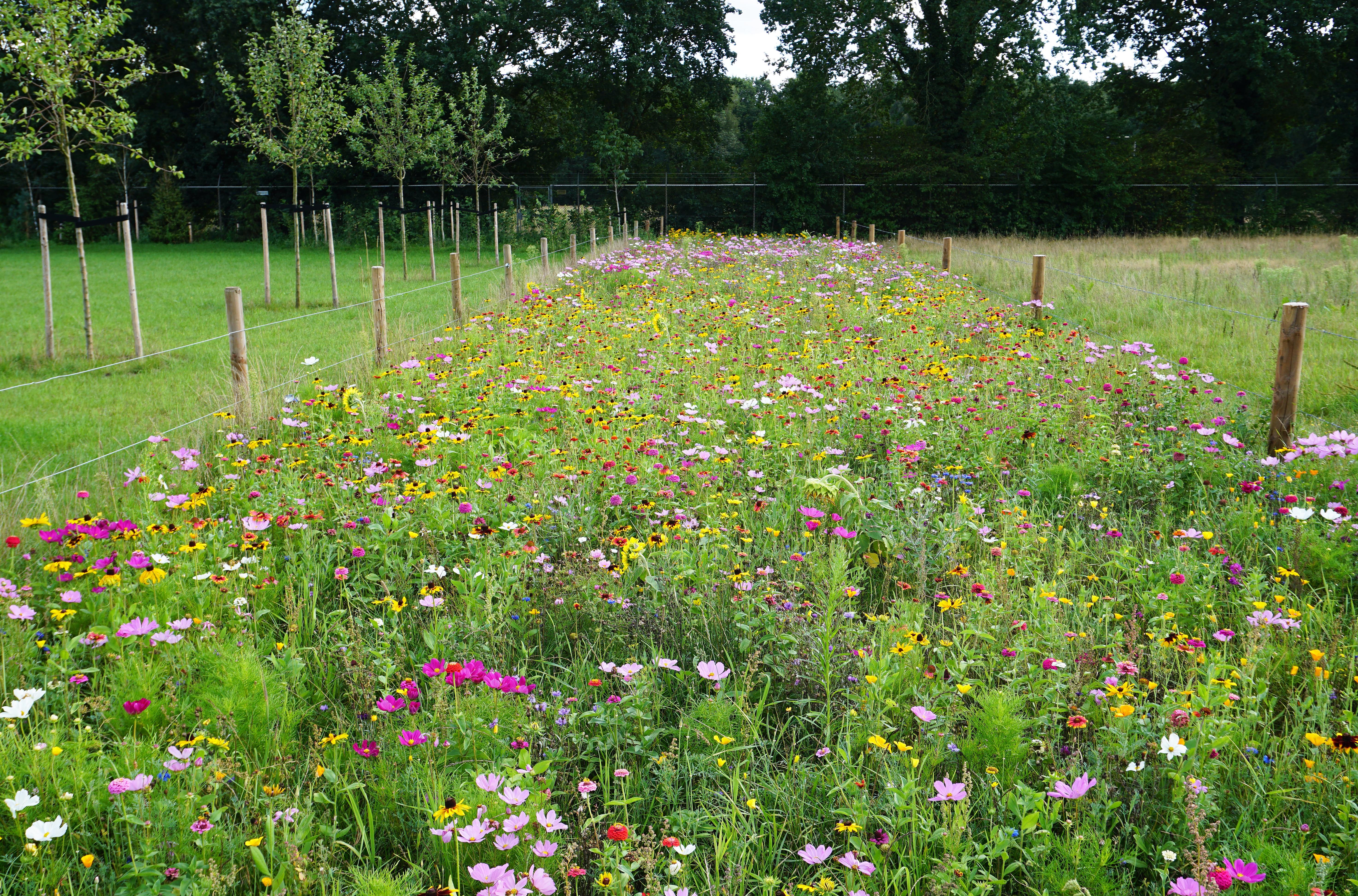 斯特仁堡精品酒店-浴室