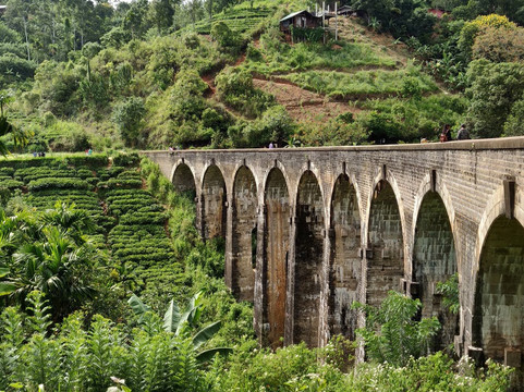 My Sri Lanka Tours with Sam-康提必去景点