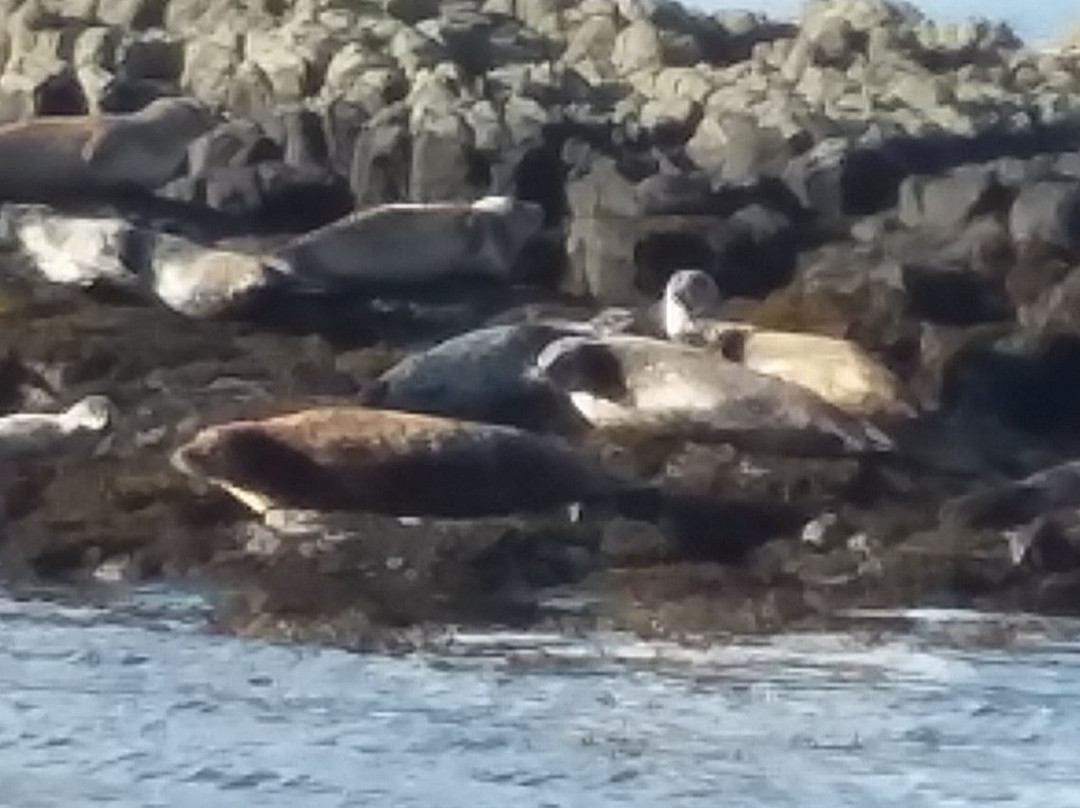 Diver's Eye Boat Trips-Stein必去景点