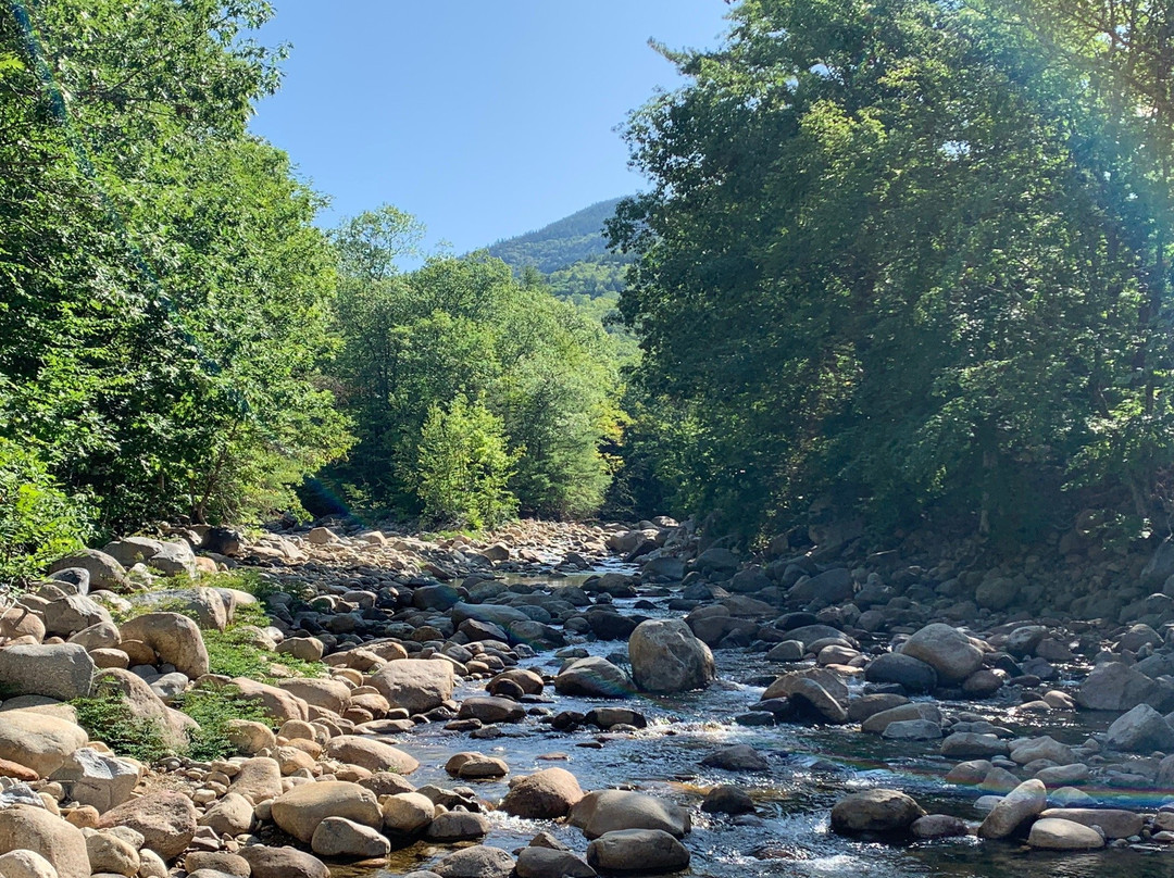 Old Field House主图