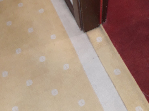 阿拉梅达中心酒店主图