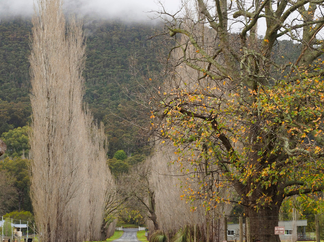 亚拉河谷贝斯特韦斯特酒店主图