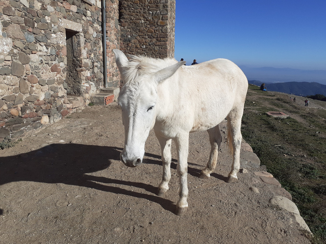 Monestir De Sant Llorenç De Munt