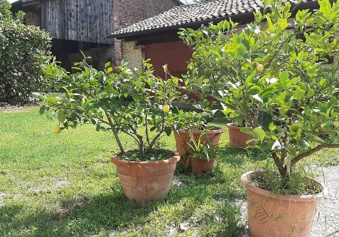 B&B Casa Pagnano主图