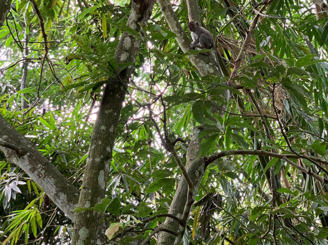 Antonis Buton Tetebatu Tour Guide-Tetebatu必去景点
