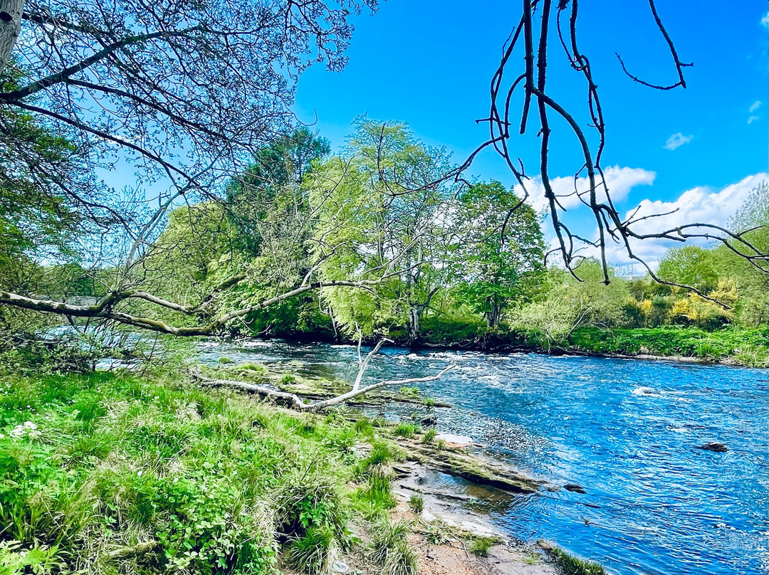 The Inch Park And River Street