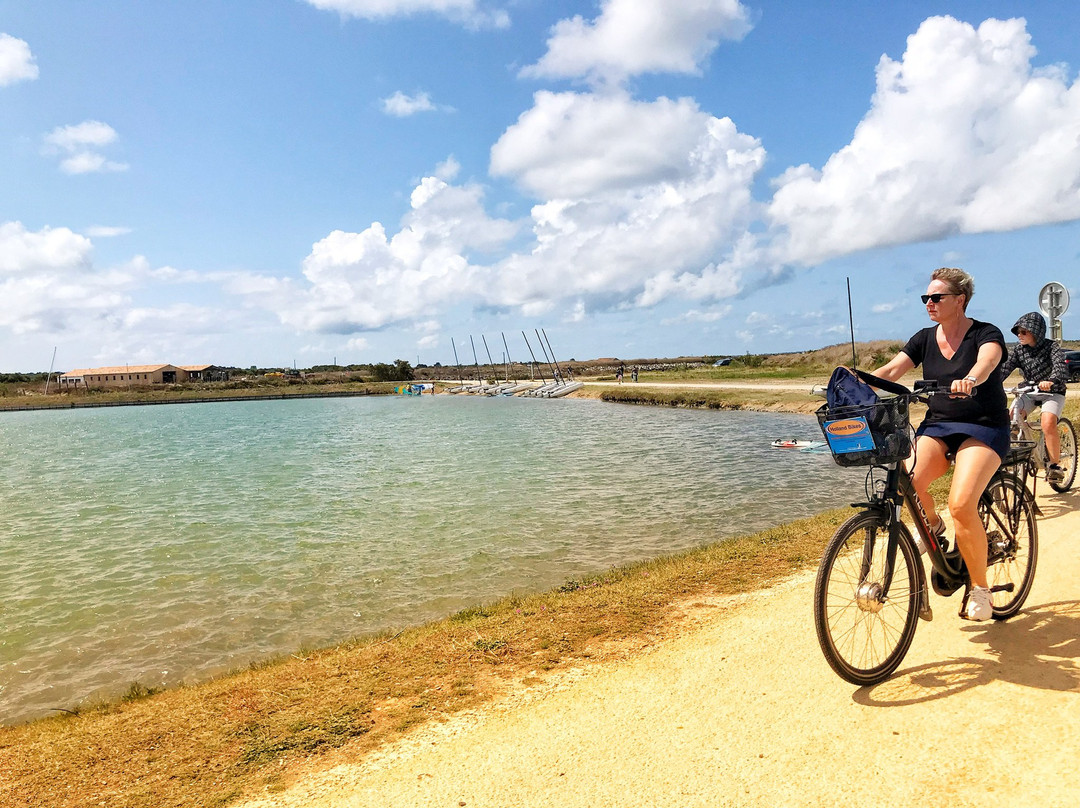 Holland Bikes景点图片