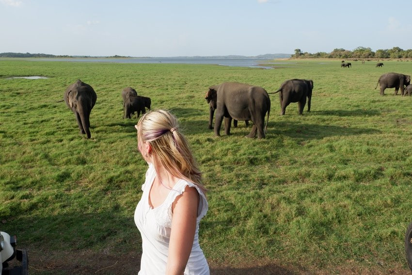 Minneriya National Park-Minneriya必去景点