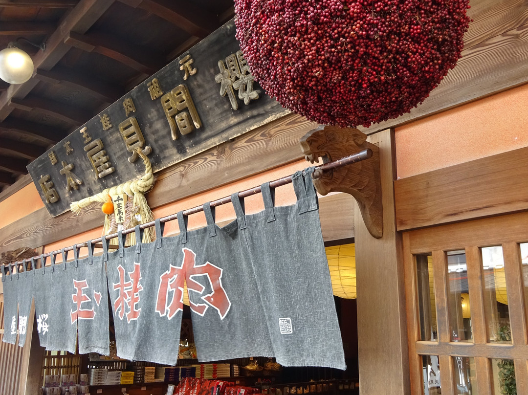 Gujo Hachiman Castle Town-郡上市必去景点